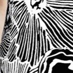 black white flower