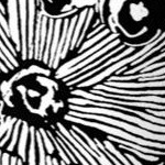 black white flower