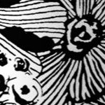 black white flower