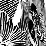 black white flower