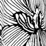black white flower
