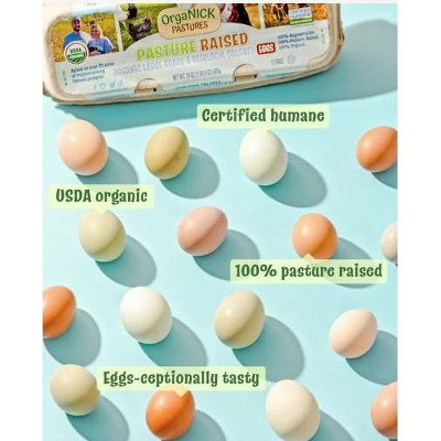 OrgaNICK Pastures Pasture-Raised Organic Brown Eggs - 124oz/2ct