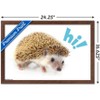 Trends International Cute Hedgehog - Hi! Framed Wall Poster Prints - 3 of 4