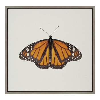 Kate and Laurel Sylvie Monarch Butterfly Framed Canvas by Robert Cadloff of Bomobob, 22x22, Gray