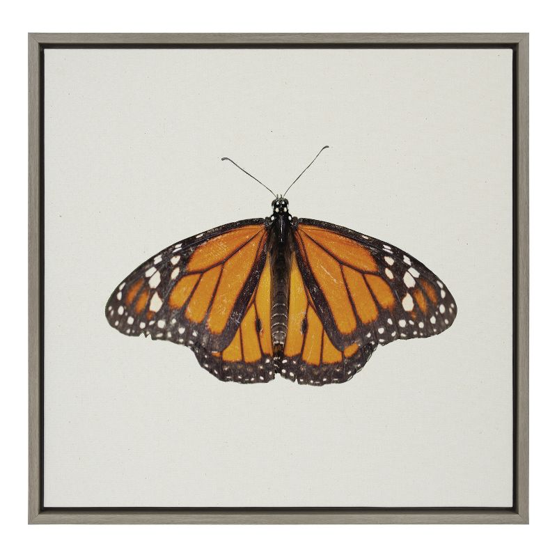 Kate and Laurel Sylvie Monarch Butterfly Framed Canvas by Robert Cadloff of Bomobob, 22x22, Gray, 1 of 9