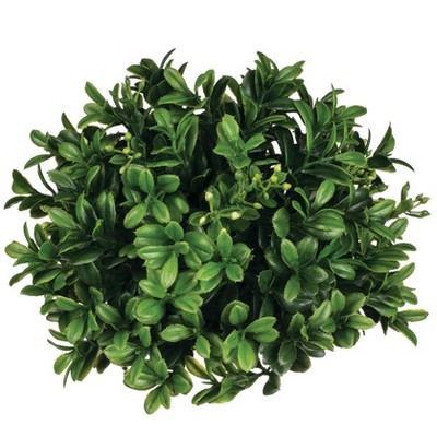 Sullivans Boxwood Half Orb Decorative Filler 5"H Green