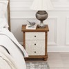 JIONJOY Farmhouse 3-Drawer Dresser - Hand-Carved Leaves Design, Fully Assembled Vintage Storage for Bedroom/Living Room, White & Brown - 3 of 4