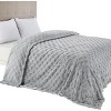 Cozy Comfort by Bedsure | Cute Soft Cozy Checkered 260GSM Throw Blanket for Couch Twin Size White - 2 of 4