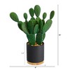 Nearly Natural 10-in Cactus Succulent Artificial Plant in Planter - 2 of 4