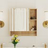 HDZNVF Bathroom Mirror Cabinet Wall Mounted with Shelves and Towel Rack - 3 of 4