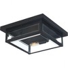 Quoizel Lighting Westover 2 - Light Flush Mount in  Earth Black - 3 of 4