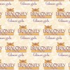 Gilmore Girls Dragonfly Inn Gift Wrap 30" x 72" - 2 of 4