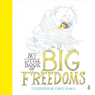 My Little Book of Big Freedoms - (Hardcover)