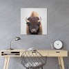 iCanvas Buffalo by Gal Design Canvas Print Wall Art - 3 of 3
