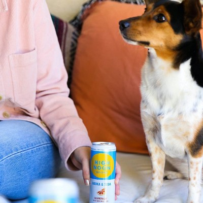 High Noon Grapefruit Vodka Hard Seltzer - 4pk/355ml Cans, 6 of 11