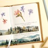 Wrapables Aesthetic Scenic Landscapes PET Washi Tapes for Scrapbooking, Stationery, Journaling, Diary, Card Making (Set of 2) - 3 of 4