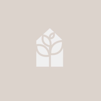 lindencreek1 avatar image