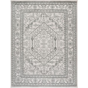 Adirondack ADR108 Non-Shedding Power Loomed Indoor Rugs - Safavieh - 1 of 4
