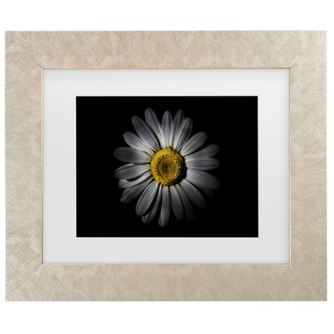 Brian Carson Backyard Flowers 52 Matted Framed Art : Target