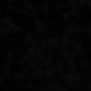 black, charcoal, gray, tan, dark brown, light beige
