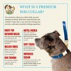 Country Brook Petz Premium Nylon Dog Collar with Metal Buckle for Small Medium Large Breeds - Vibrant 30+ Color Selection - 4 of 4