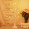 DR.Planzen 24" White Birch Christmas Tree Set of 2, LED Lighted Artificial Mini Trees with Warm Lights, Gift Card Display Trees for Home Holiday Decor - 4 of 4
