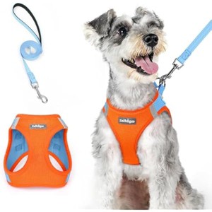 rabbitgoo Dog Harness Small Medium Sized and Leash Set, Step in Soft Light Puppy Pet Harness, Reflective for Safe Easy Walking, Blue & Orange XL - 1 of 1