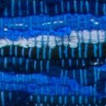 blue/multi