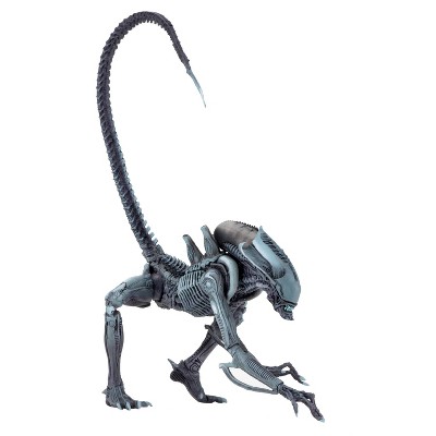  NECA - Aliens vs Predator (Arcade Appearance) - 7 Scale Action  Figures - Razor Claws : Toys & Games