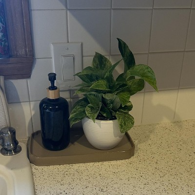 Guest review image 2 of 2, zoom in