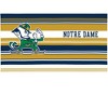 NCAA Notre Dame Fighting Irish 24oz Hype Stripes Classic Tumbler - 2 of 4
