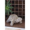 Decorative Faux Concrete Turtle 9" Tall by Kalalou - 3 of 3