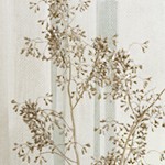 oak