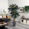 HomeStock  6 ft. Artificial Palm Tree in Planter for Indoor/Outdoor - 3 of 3