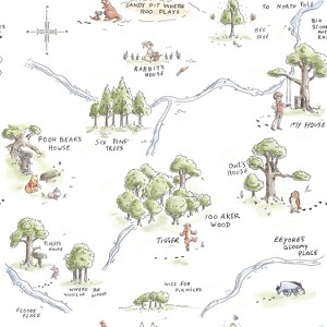 Winnie The Pooh 100 Acre Wood Map Peel And Stick Kids' Wallpaper - RoomMates - 1 of 4