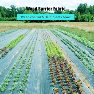 6.5ft x 300ft Premium 3oz Pro Garden Weed Barrier Landscape Fabric, Durable & Heavy-Duty Weed Block Gardening Mat, Easy Setup & Superior Weed Control - 1 of 4