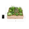Nature Spring Artificial Succulent Arrangement - 2 of 4