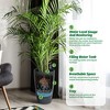 Tall Planter Set of 2, Self Watering Pots Indoor & Outdoor, Large Flower Pot with Water Level Monitor, for Patio, Porch, Living Room, Home Office - 3 of 4