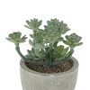 Unique Bargains Artificial Plants Family in Mini Pulp Plastic Green 3.35"x3.35"x3.94" 1 Pc - 4 of 4