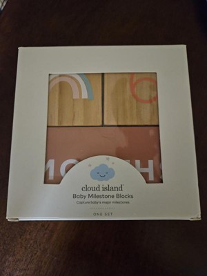 Baby milestone blocks store target