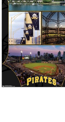 clear push pins bundle