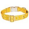 Country Brook Petz Premium Dog Collar - Country and Western Collection - 3 of 4