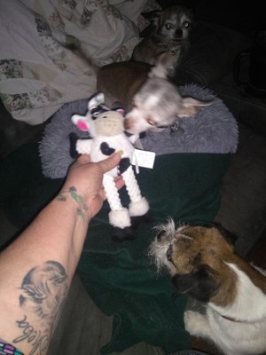 Guest review image 1 of 2, zoom in