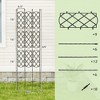 Aghana Digitals 3-Pack PE-Coated Metal Garden Trellis, 19"x64" Adjustable Height Plant Support - 2 of 4