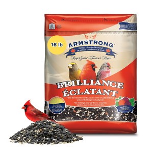 Armstrong Wild Bird Food Royal Jubilee Brilliance Bird Seed Blend - 1 of 4