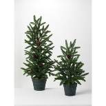 Sullivans 3' & 2' Pine with Pinecones Artificial Tree Set of 2, 36"H & 24"H Green