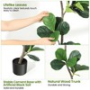 Artificial Fiddle Leaf Fig Tree with Black Planter – Artificial Plants Indoor Fake Tree, Faux Plant for Home Living Room Office Decor - 4 of 4