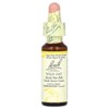Bach Original Flower Remedies, Wild Oat, 0.35 fl oz (10 ml) - 3 of 4