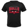 Nba Chicago Bulls Toddler Boys' 3pk T-shirts : Target