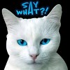Junior's Design By Humans Cat grumpy face: Say What?! By GTRobert T-Shirt - 2 of 3